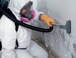 Best Emergency Mold Remediation  in Morgantown, PA